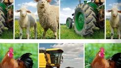 Agri dekbedovertrek