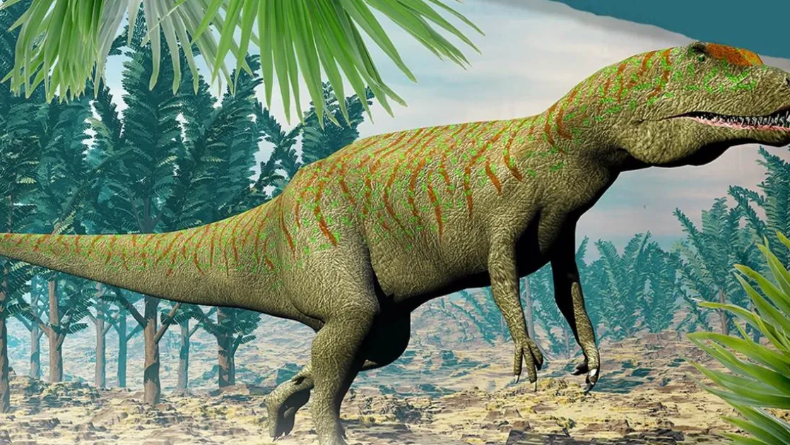 Dino dekbedovertrek