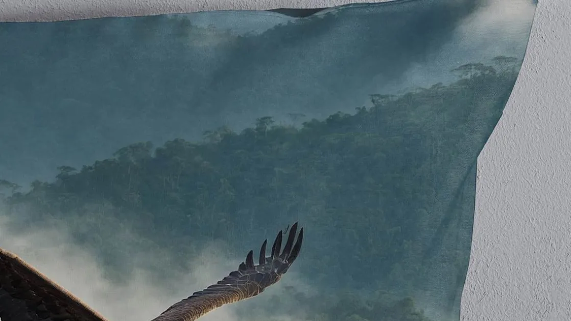 Eagle dekbedovertrek