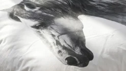 Heemst dekbedovertrek