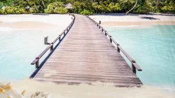 Moana dekbedovertrek