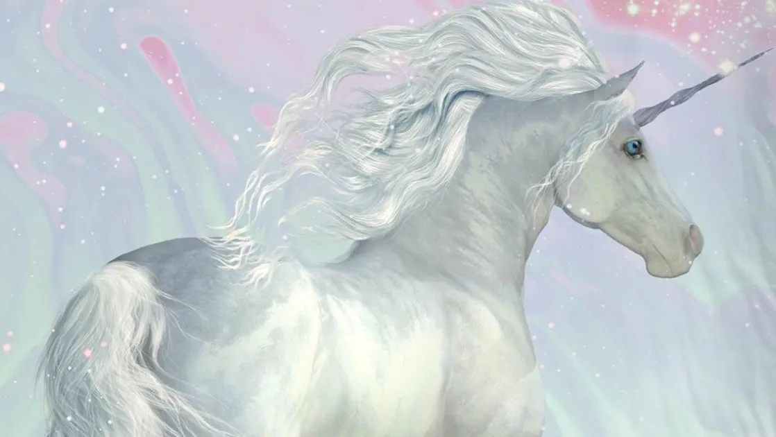 Unicorn dekbedovertrek